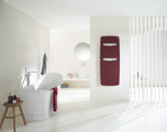Rendering Zehnder Vitalo Spa Decorative radiator Front view